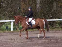 IMG_7853_web